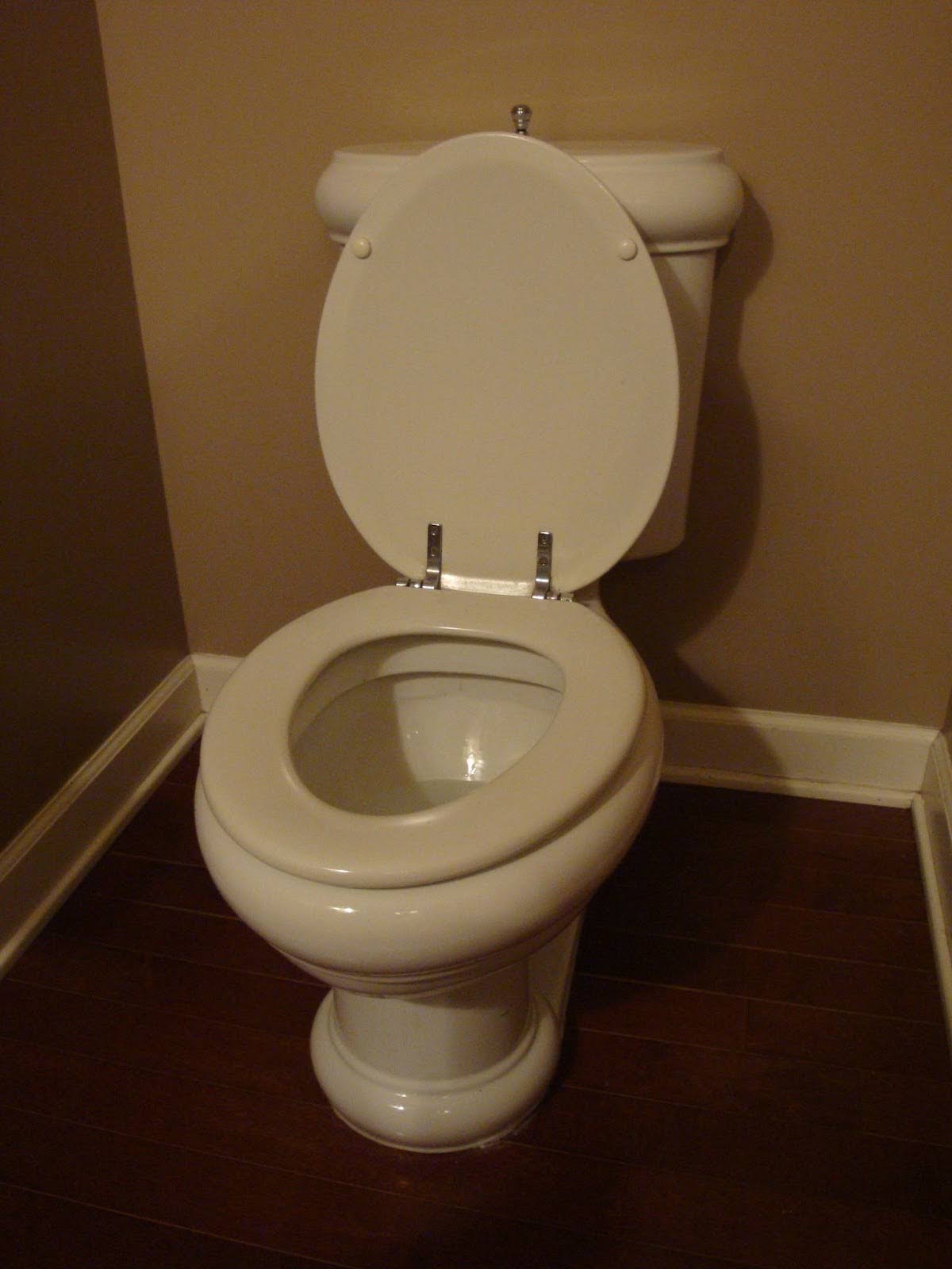 Newly installed toilet - Trust Bruce M. Johnson Plumbing with all your Lapeer plumbing needs - Call us!